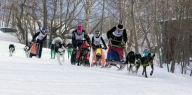 Открытое командное первенство ПКГО по зимним дисциплинам ездового спорта